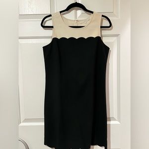 Ann Taylor LOFT cream/black dress